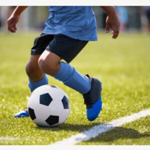 Monthly Subscriptions